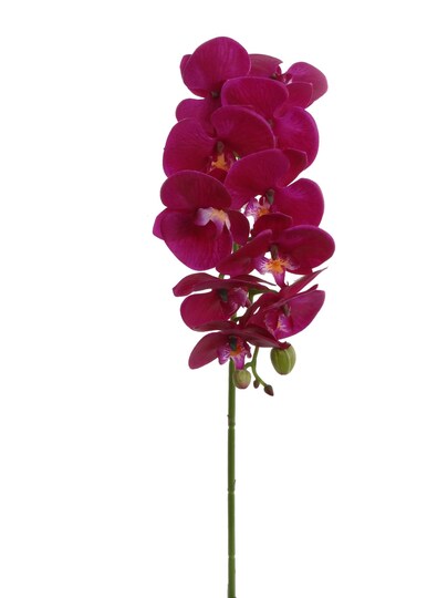 2-Pack: Real Touch Purple Phalaenopsis Orchid Stem, 31-Inch, 10 Realistic Silk Flowers & 2 Buds, Fake Orchids, Vase Fillers by Floral Home®
